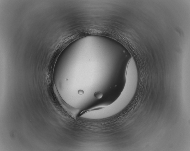 X0000115270743200911131807