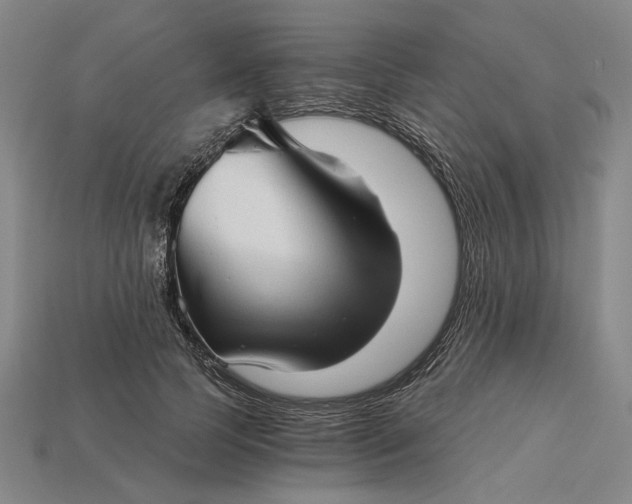 X0000115270745200911131807
