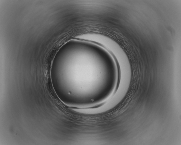 X0000115270749200911131807