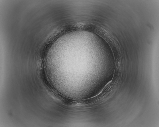 X0000115270750200911131807