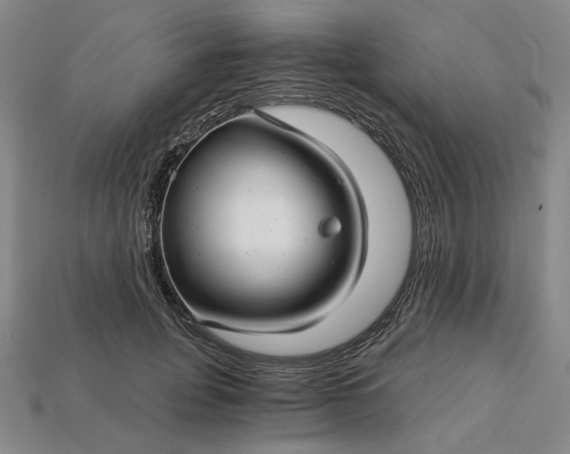 X0000115270751200911131807