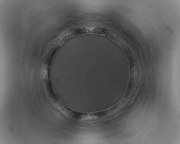 X0000115270754200911131807