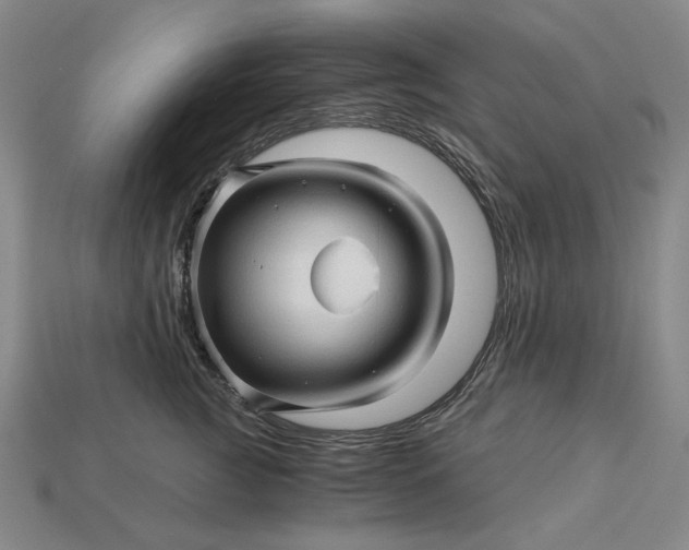 X0000115270761200911131807