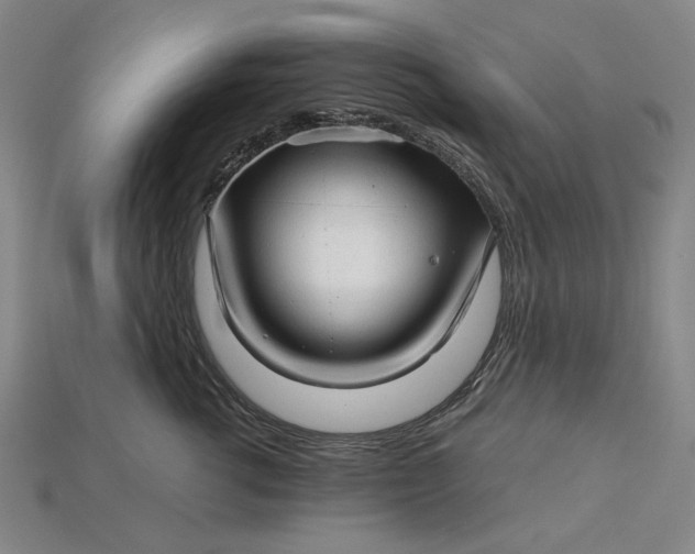 X0000115270762200911131807