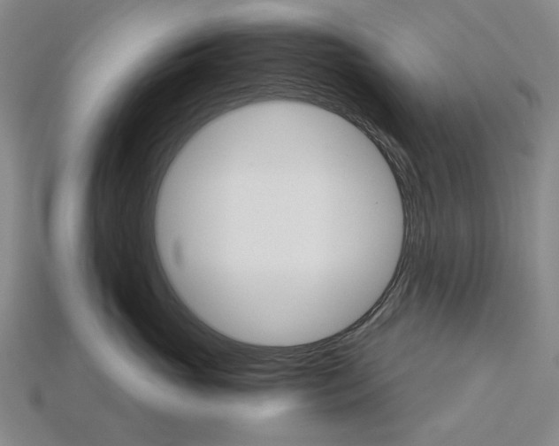 X0000115270765200911131807