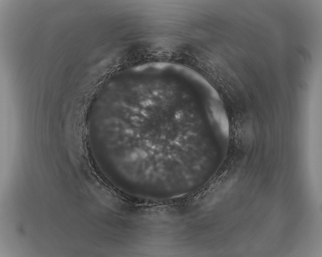 X0000115270769200911131807