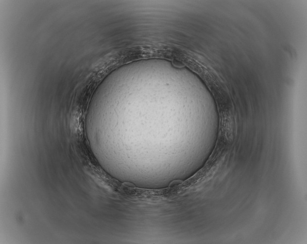 X0000115270770200911131807
