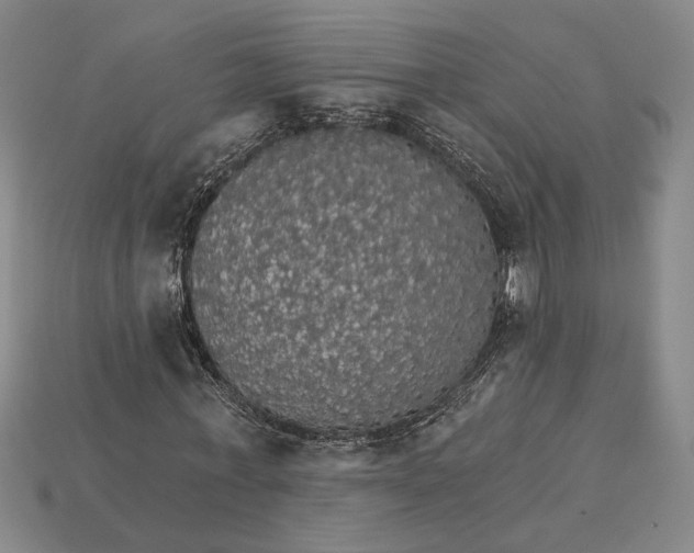 X0000115270771200911131807