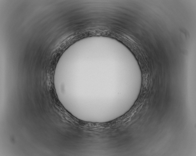 X0000115270774200911131807