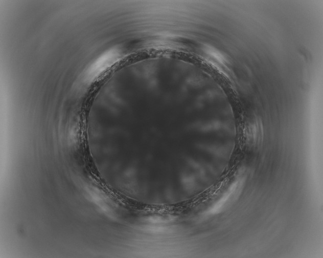X0000115270775200911131807