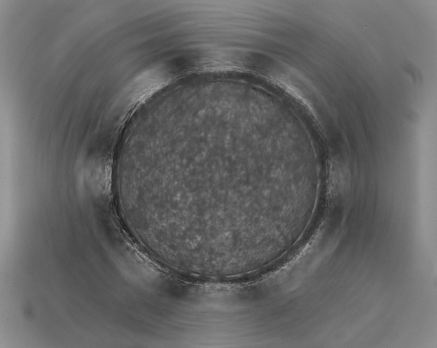 X0000115270777200911131807