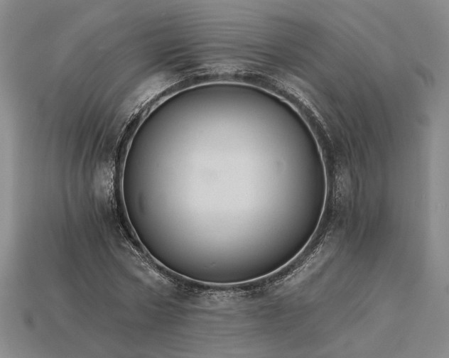 X0000115270778200911131807