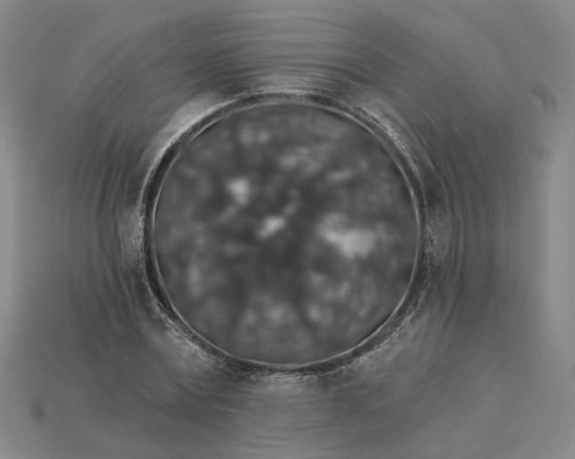 X0000115270779200911131807