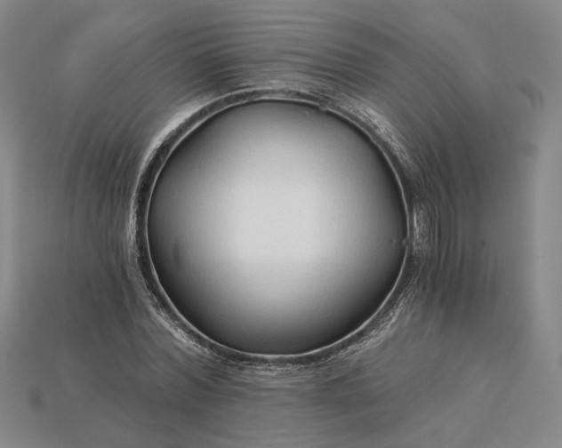 X0000115270780200911131807