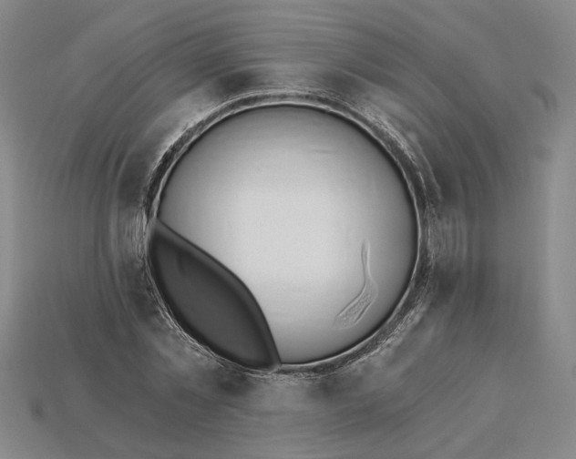 X0000115270781200911131807