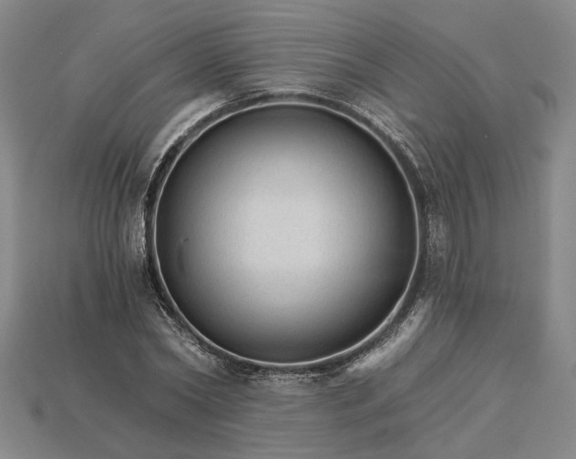 X0000115270782200911131807
