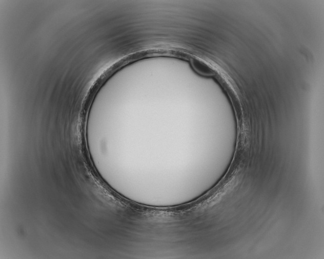 X0000115270783200911131807