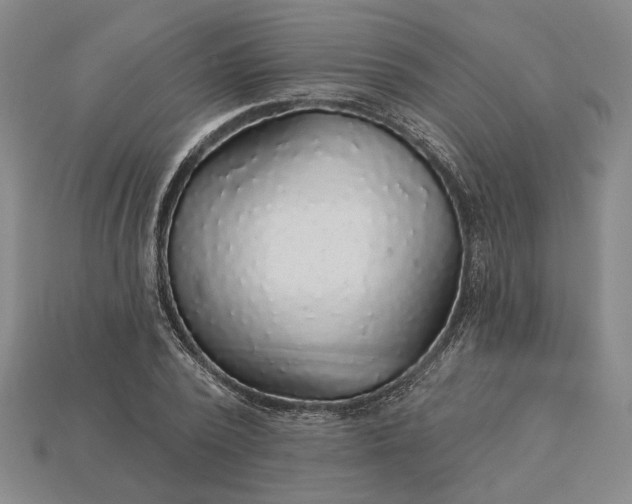 X0000115270784200911131807