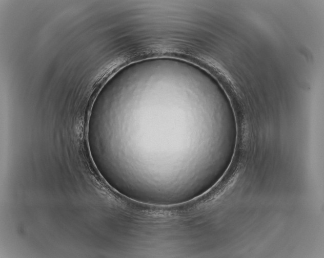 X0000115270785200911131806