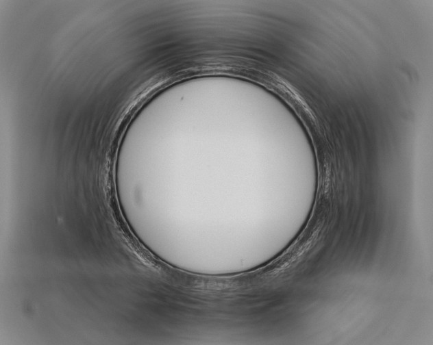 X0000115270786200911131806