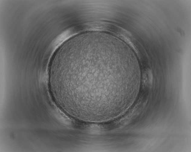 X0000115270787200911131806