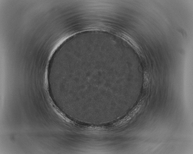 X0000115270788200911131806