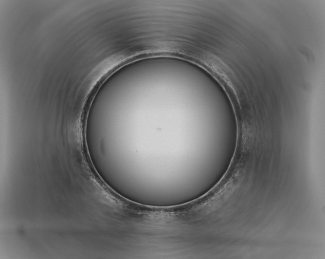 X0000115270789200911131806