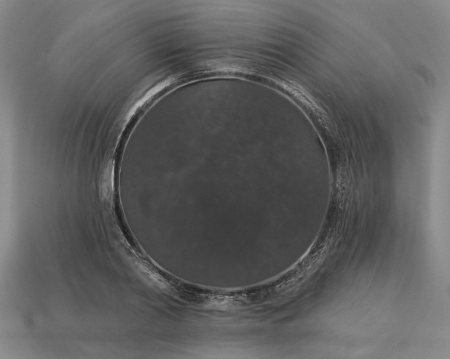 X0000115270790200911131806