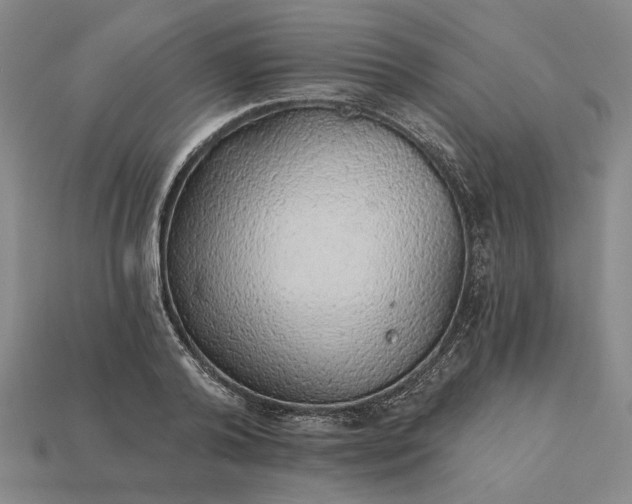 X0000115270792200911131806