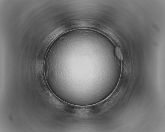 X0000115270793200911131806
