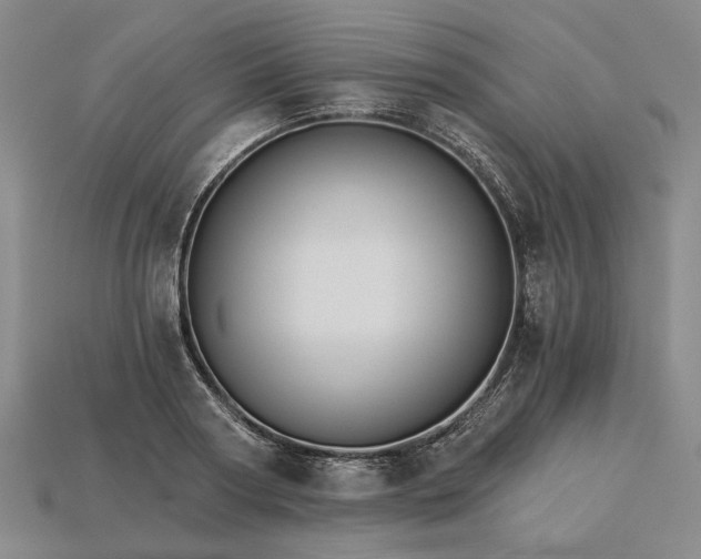 X0000115270794200911131806
