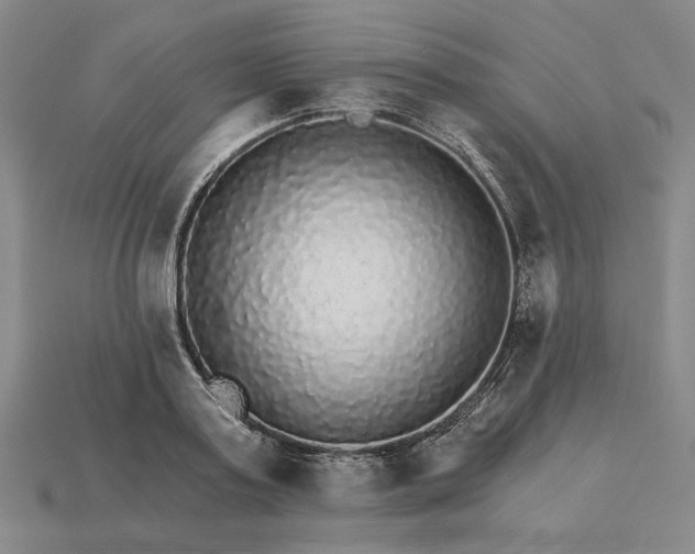 X0000115270795200911131806