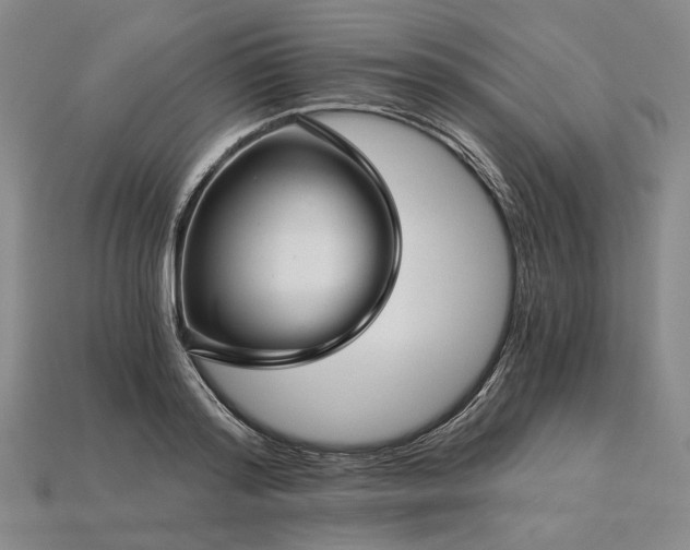 X0000115270796200911131806