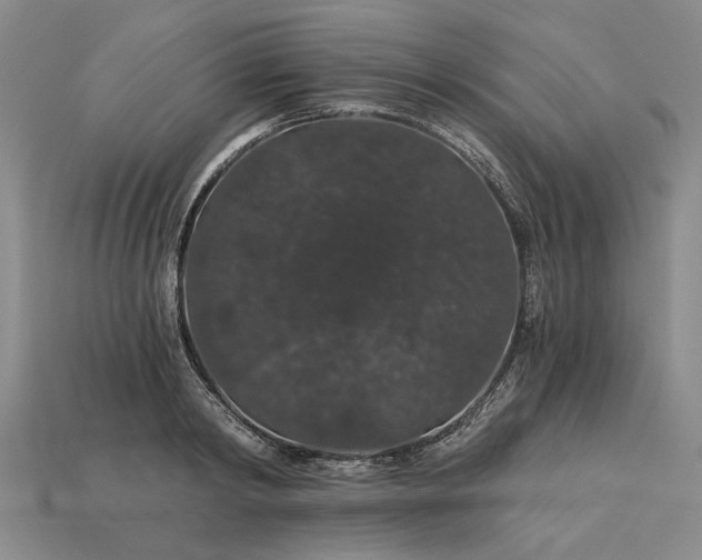 X0000115270798200911131806