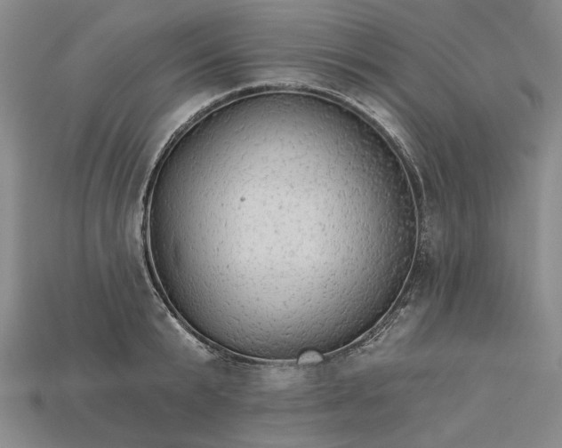 X0000115270799200911131806
