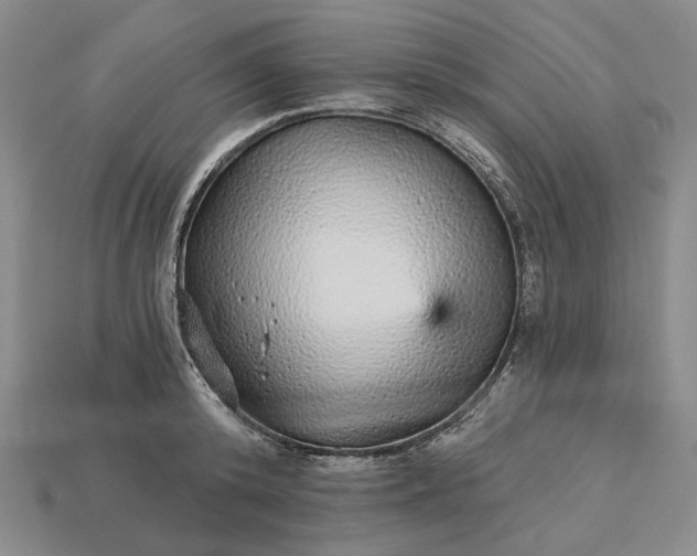 X0000115270800200911131806
