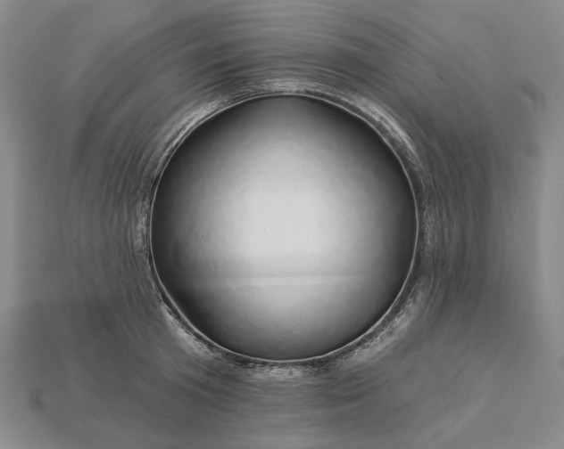X0000115270801200911131806