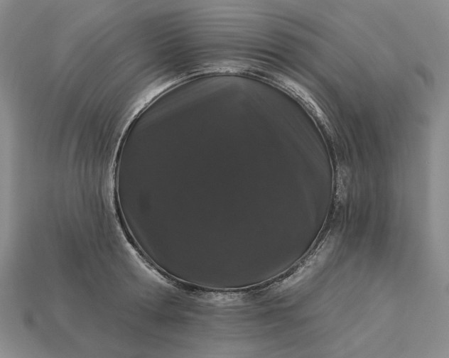 X0000115270802200911131806