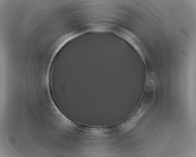 X0000115270803200911131806