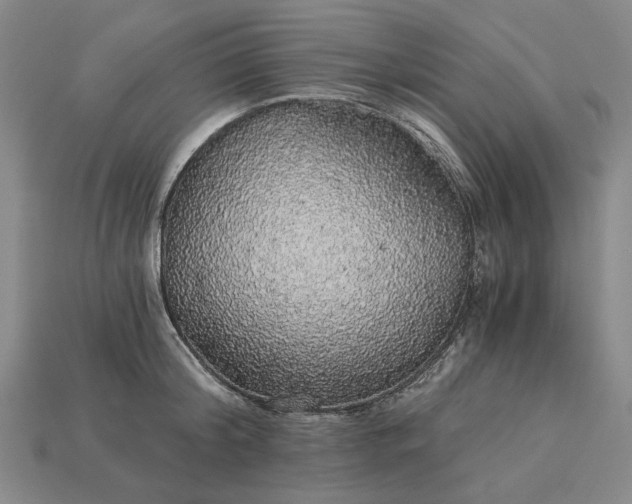 X0000115270804200911131806