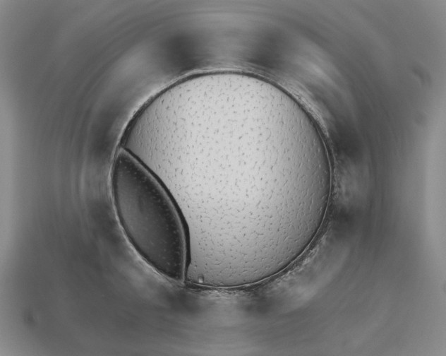 X0000115270805200911131806