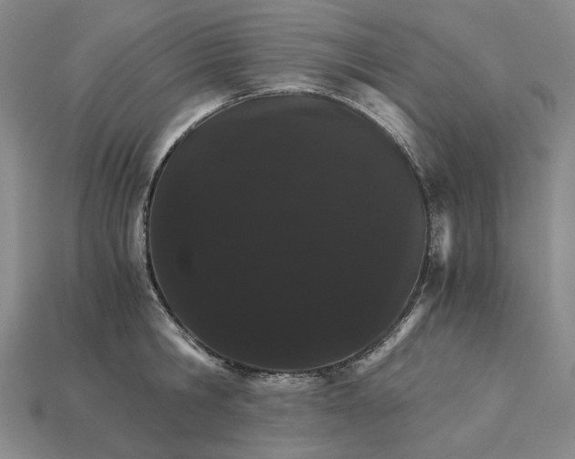 X0000115270806200911131806