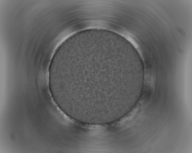 X0000115270807200911131806