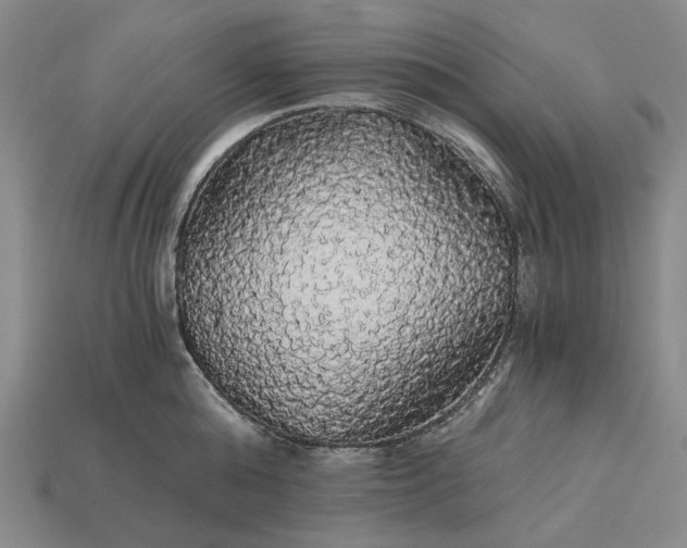 X0000115270808200911131806