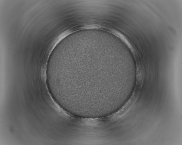 X0000115270810200911131806