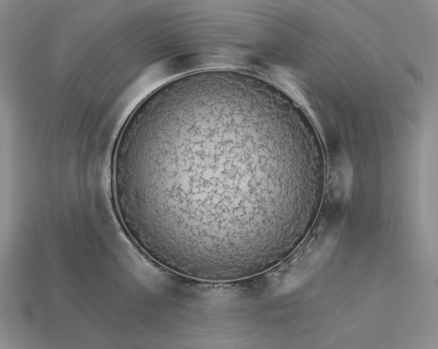X0000115270811200911131806