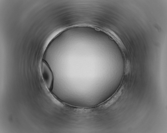 X0000115270812200911131806
