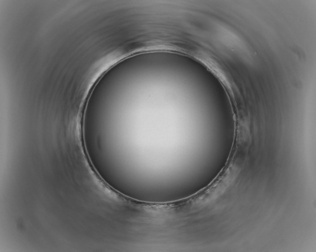X0000115270813200911131806