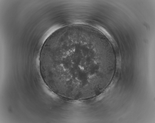 X0000115270814200911131806