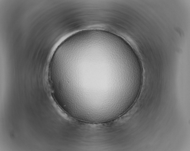 X0000115270816200911131806